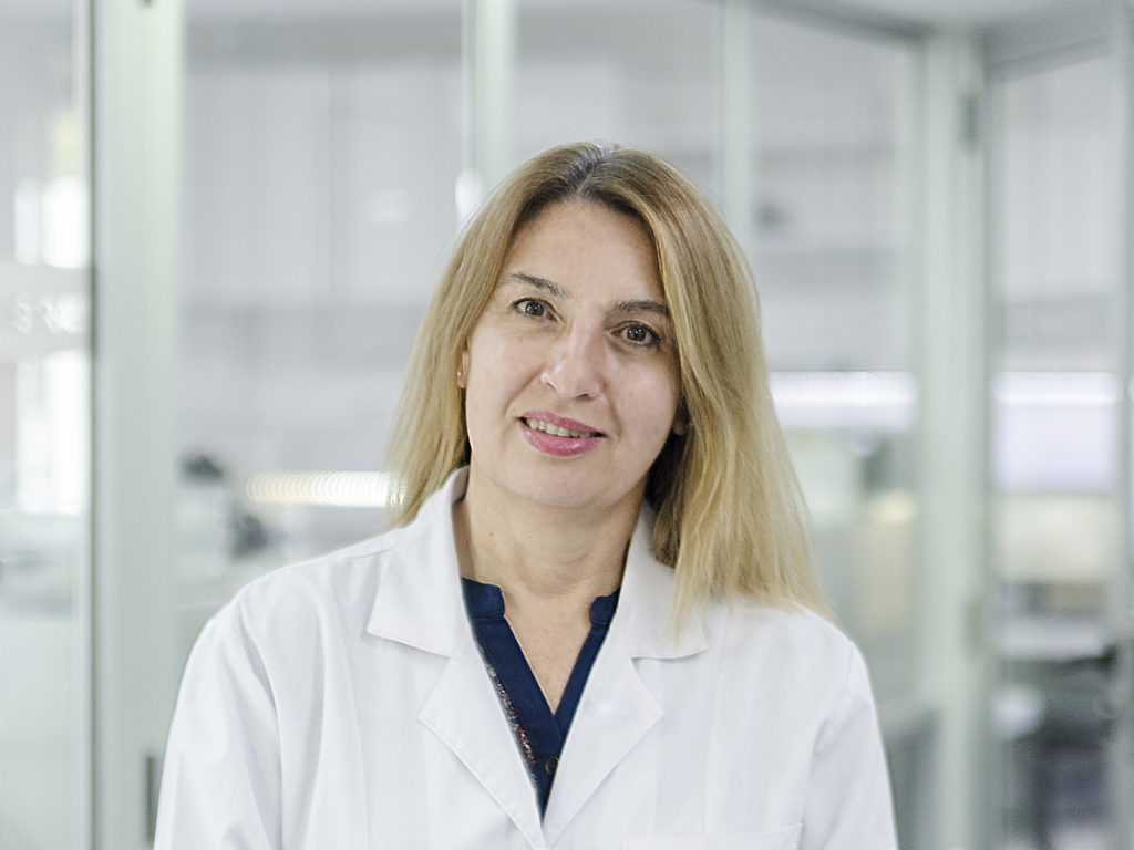 A cargo de la Biol. Esp. Alicia Sturich 
Especialista en Citogenética Clásica y Molecular.
